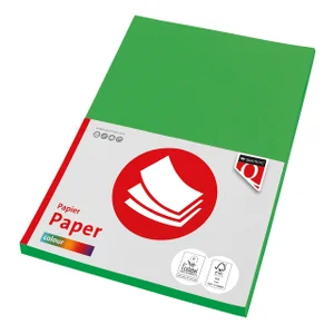Kopieerpapier Quantore Colour A4 120gr grasgroen 1
