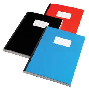 Schrift Qbasic met harde kaft A5 160blz lijn assor