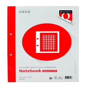 Cursusblok Quantore A4 ruit 5mm met kantlijn 200 p