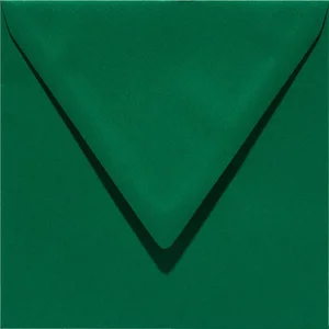 Envelop Papicolor EA5 156x220mm dennegroen pak à 6