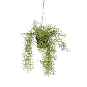 Kunstplant Mica Rhipsalis hangend in pot groen Ø9,