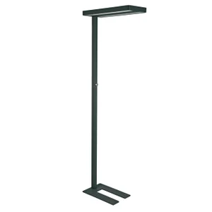 Vloerlamp MAUL Juvis LED beweging- daglichtsensor