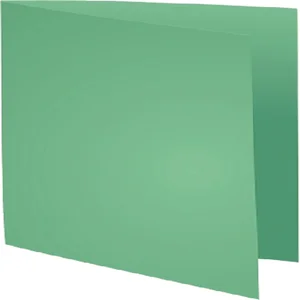 Vouwmap Exacompta Forever A4 170gr grasgroen 100 s