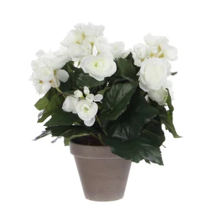 Kunstplant Mica Begonia wit in pot Stan grijs Ø25