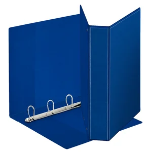 Presentatieringband Esselte panorama A4 4-rings D-