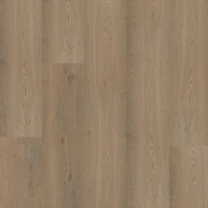 Bodiax BP300 Longa Dryback clarington oak DRY-V4mi