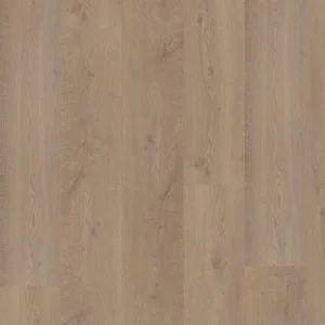 Bodiax BP300 Longa Dryback richmond oak DRY-V4micr