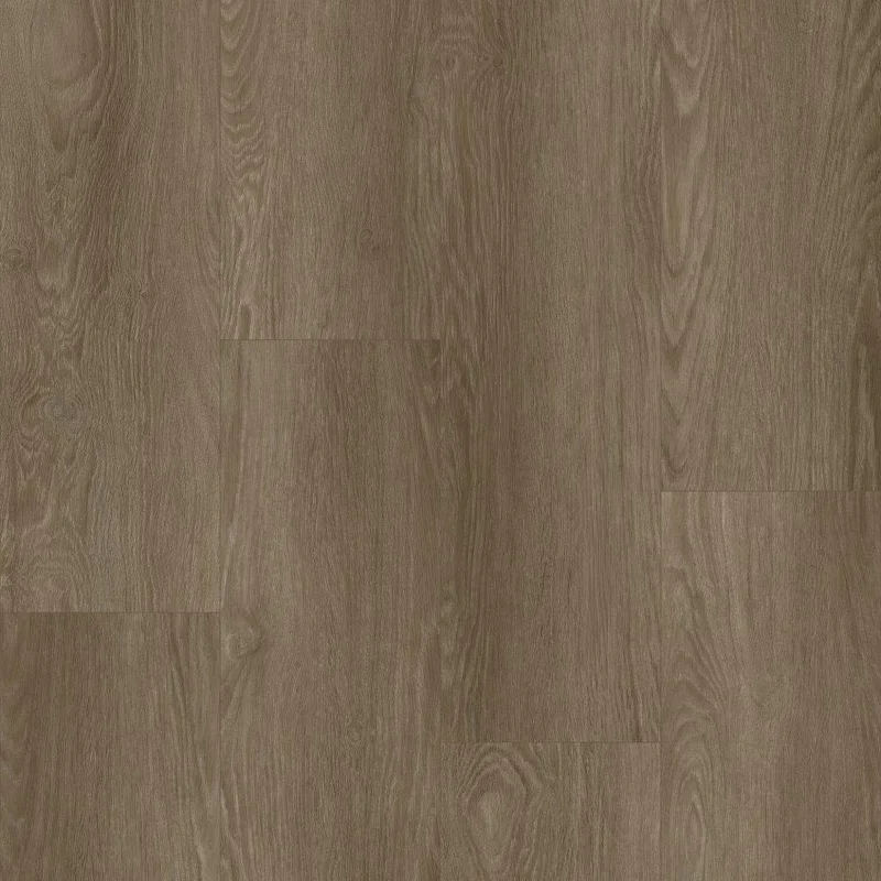 Bodiax BP370 Estrela Dryback waldorf DRY-V4micro-2