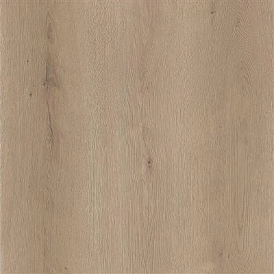 COREtec Authentics 1800 ontario V4-8mm-2,65m² - Pa