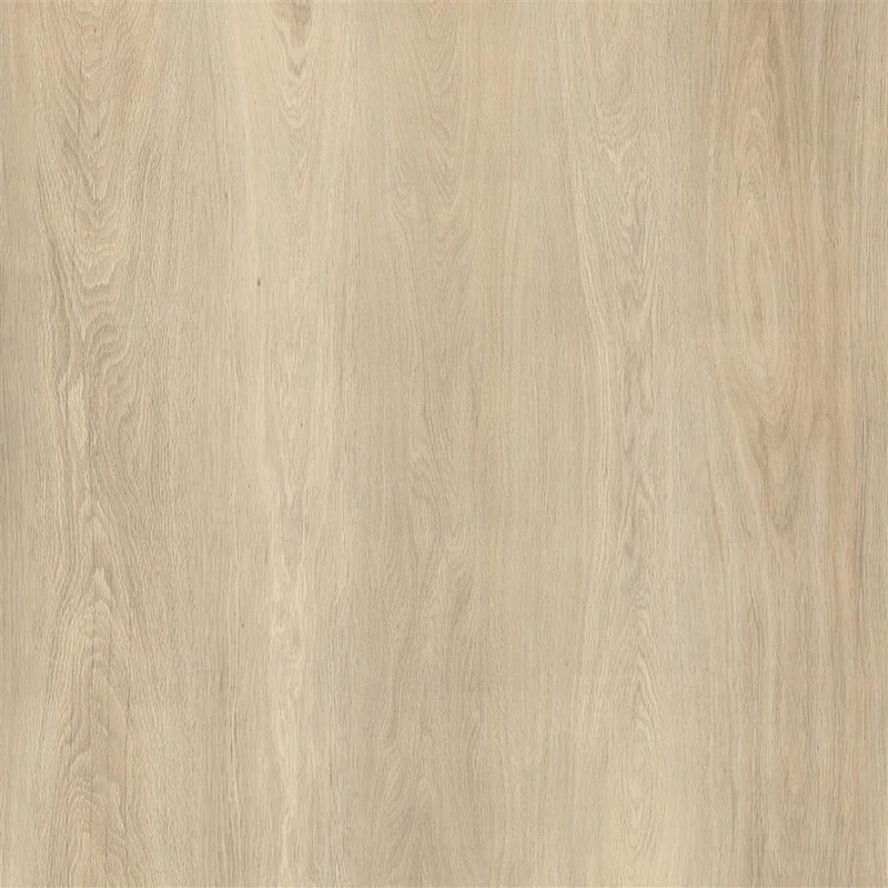 PrimoFloor Eldorado 5G sacramento V4micro-6mm-2,23