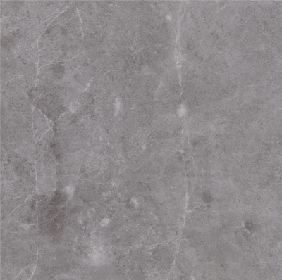Invictus Maximus Click Tile XL hudson stone silver