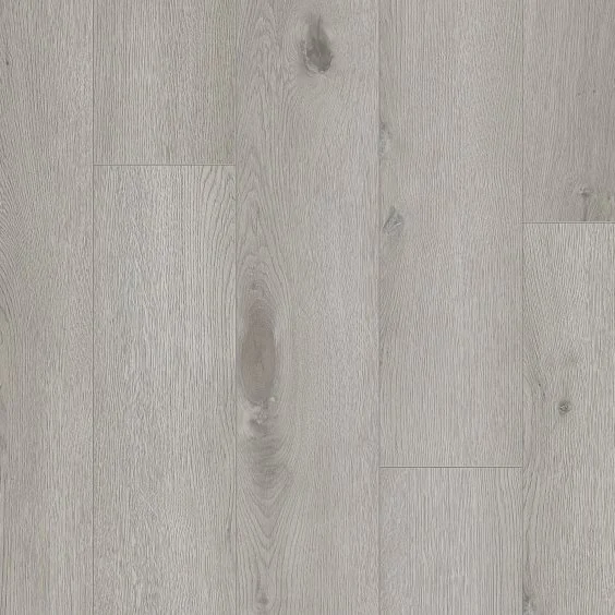 13953-NL