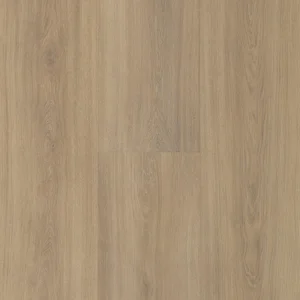 14229-NL