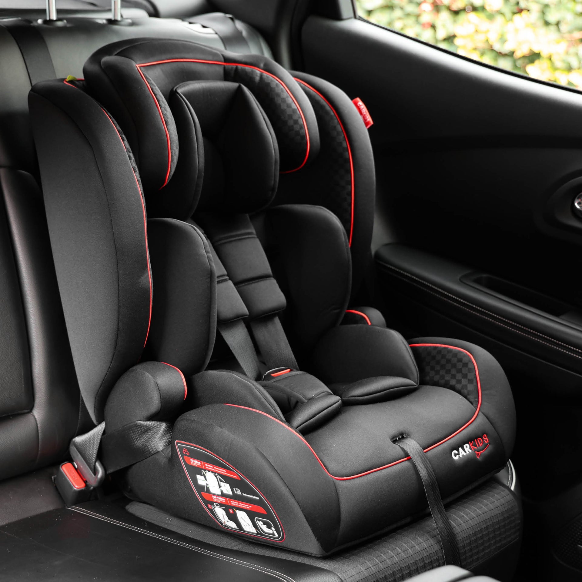 【100%正規品】ラブブ Have A Seat DADA（赤） Amazon.com: ZXTDR Tall Seat For CRF XR CRF50 XR50 50s 50cc